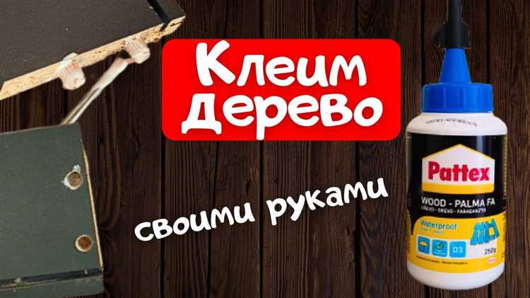 Выбор подходящего клея для керамики