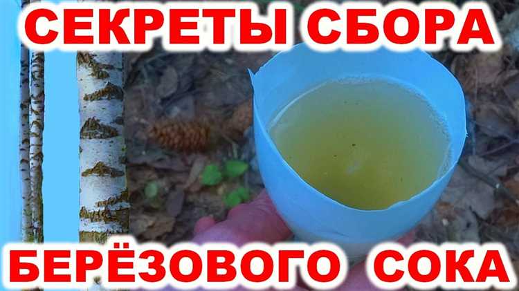Как правильно закрыть отверстие после сбора сока
