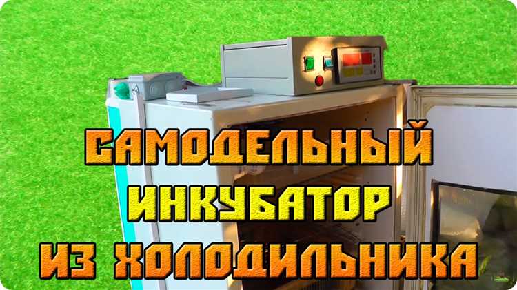 Как собрать инкубатор из холодильника