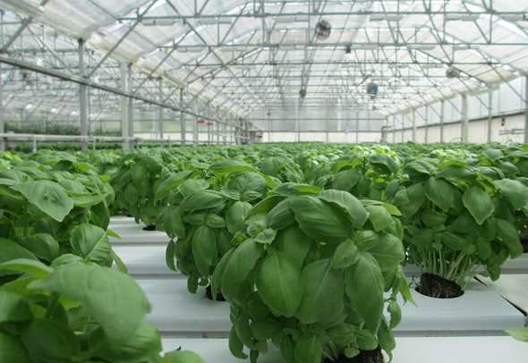 Установка печного отопления и меры пожарной безопасности