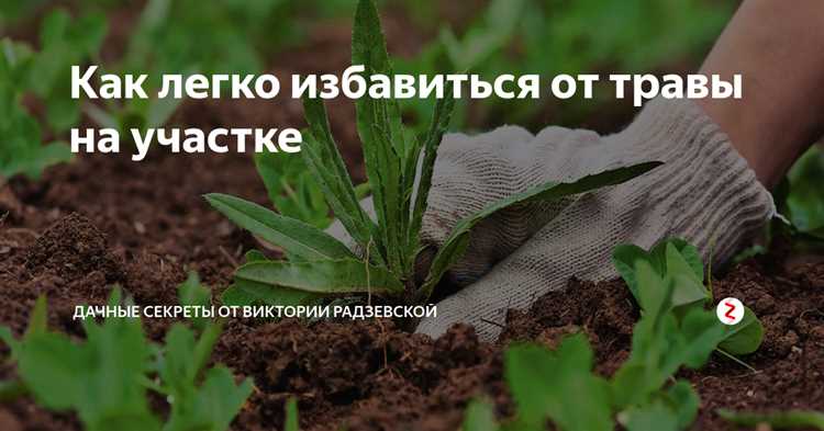Как определить тип травяного покрова перед удалением