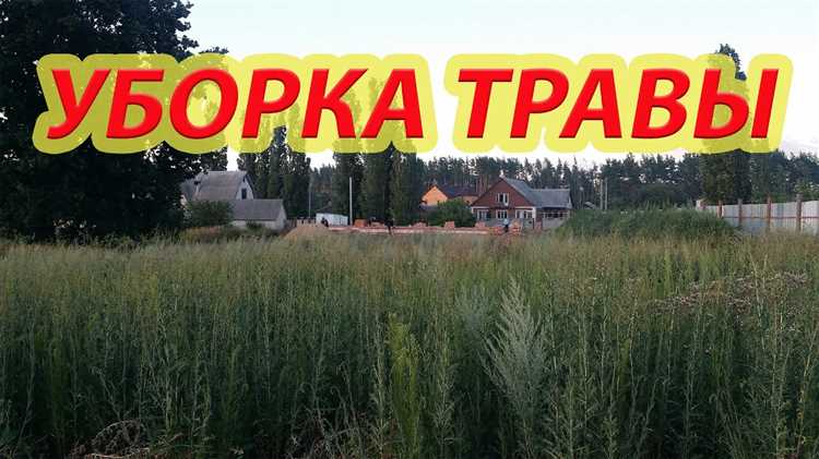 Как убрать старую траву на заброшенном участке