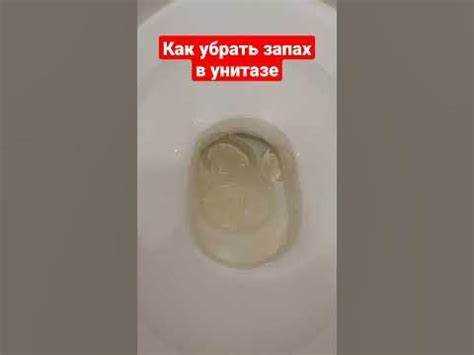 Подходит ли наждачная бумага для внутренней части унитаза