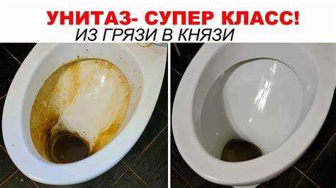 Как избежать повторного появления царапин при уходе за унитазом