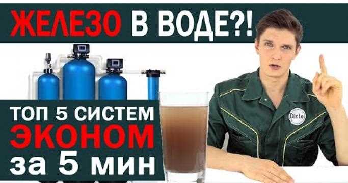 Когда необходим обезжелезивающий фильтр с промывкой и как его подобрать