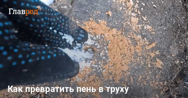 Как выбрать подходящее время года для удаления пня