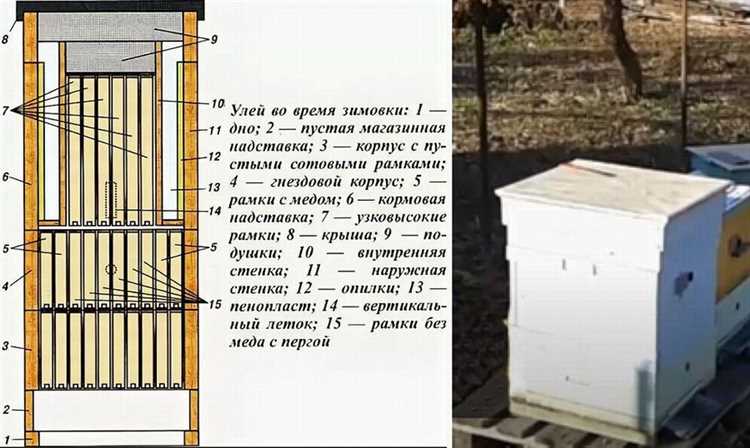 Как устроен улей для пчел внутри