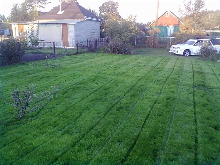 Пошаговая инструкция по утрамбовке земли ногами и подручными средствами