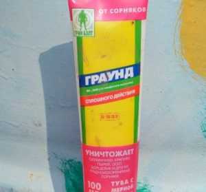 Как утрамбовать землю под газон своими руками без катка