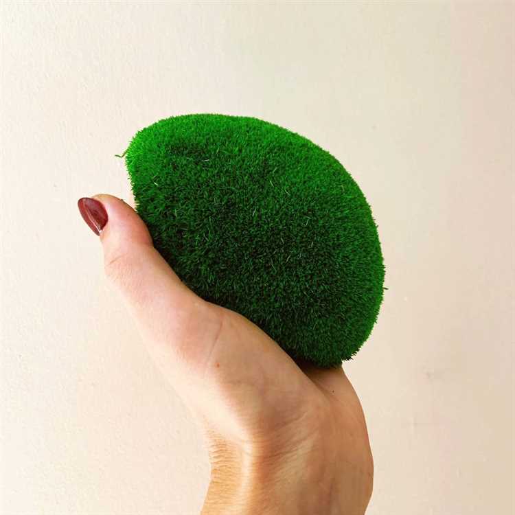 Как ухаживать за мхом стабилизированным в домашних условиях Как ухаживать за мхом стабилизированным в домашних условиях