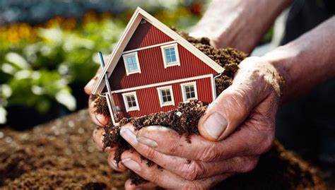 Проверка данных через Росреестр по кадастровому номеру