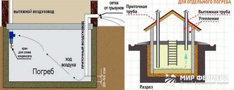 Условия хранения фруктов при пониженных температурах