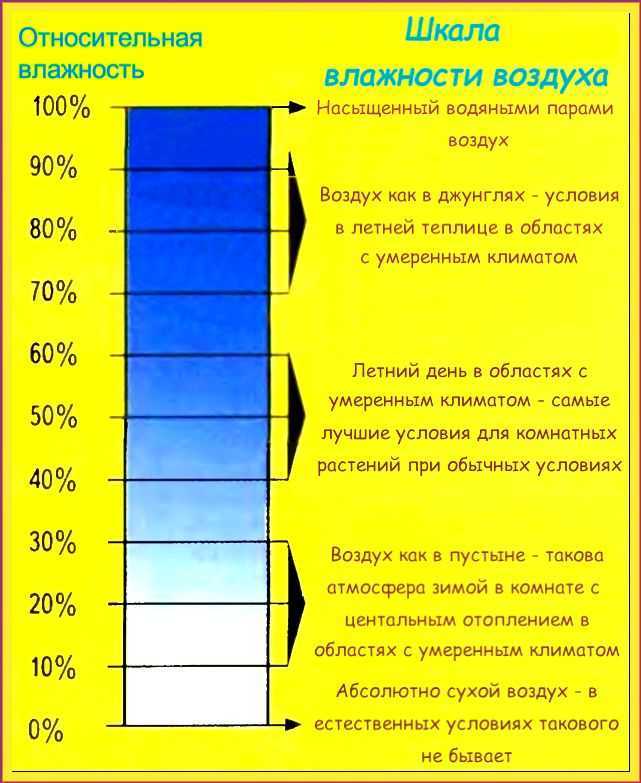 Что делать, если увлажнитель пересушивает воздух или слишком увлажняет
