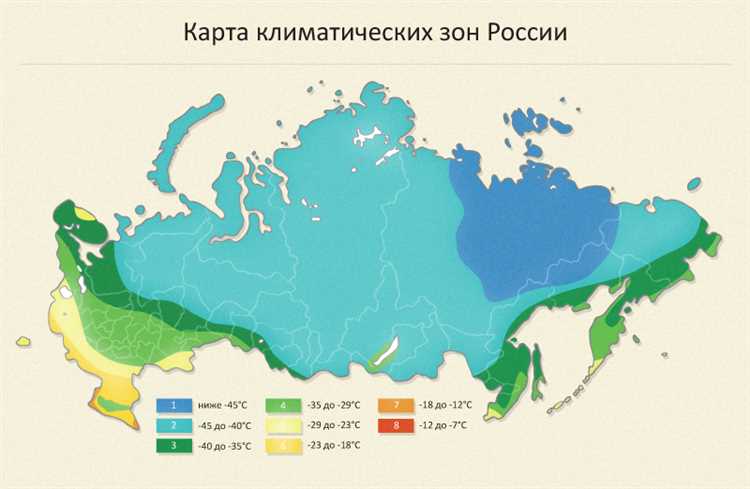 Какие многолетники надёжно зимуют в условиях Подмосковья