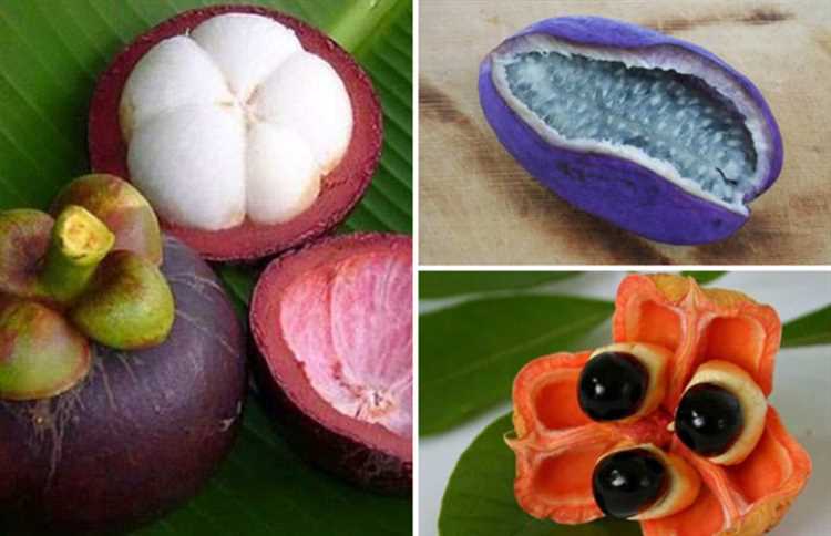 Какие экзотические фрукты можно вырастить в домашних условиях