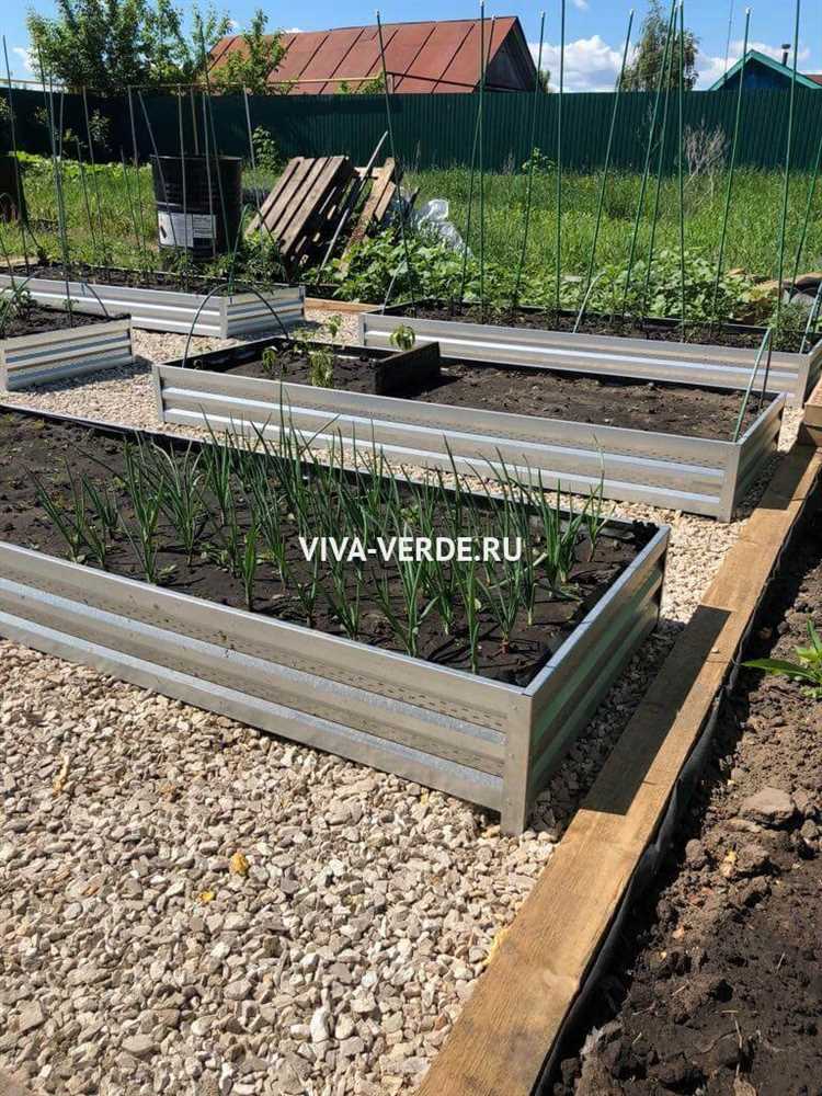 Какие грядки лучше оцинкованные или из дпк