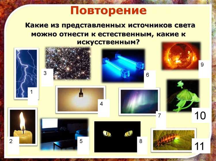 Как используются биологические и химические источники света