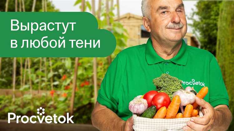 Правила посадки и ухода за кустарниками в полутени