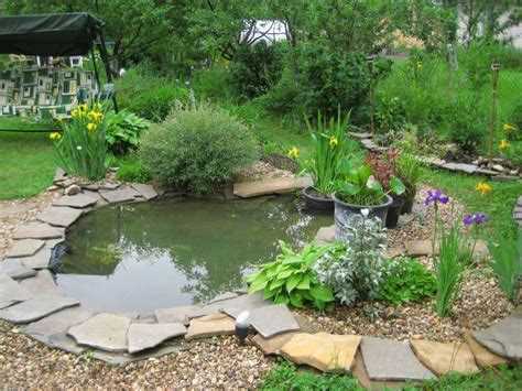 Растения, привлекающие полезных насекомых и животных к пруду