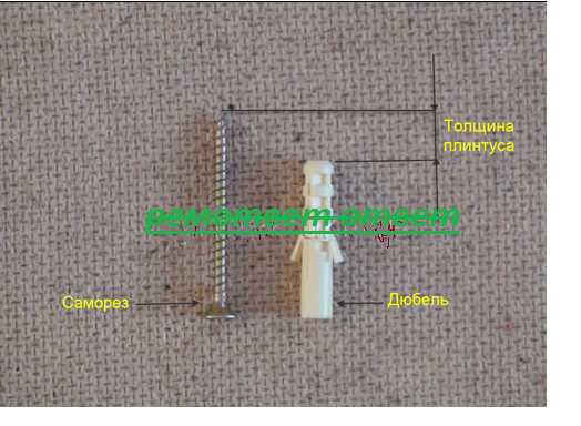 Какой диаметр и длину саморезов выбрать для напольного плинтуса
