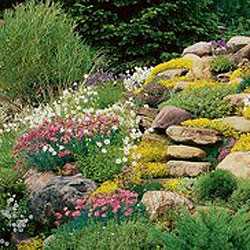 Подбор цветов по сезонам цветения для непрерывного декоративного эффекта