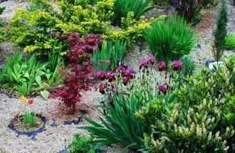 Цветы, устойчивые к засухе и перепадам температуры на горке