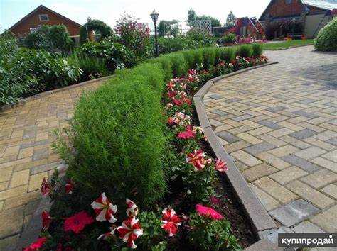 Как выбрать многолетники с учётом ориентации забора по сторонам света