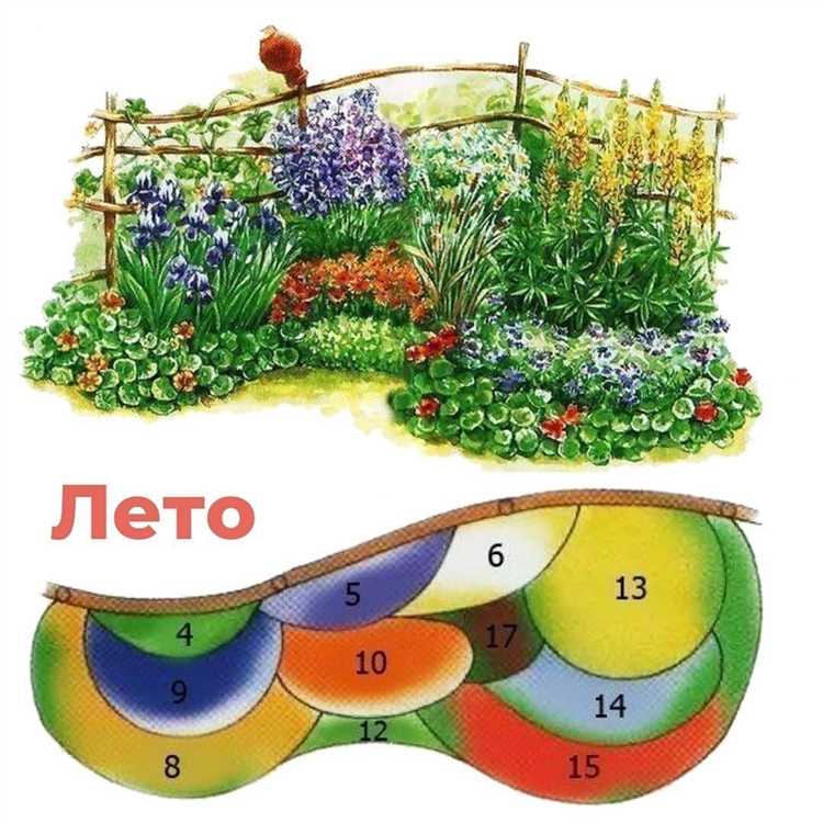 Цветущие многолетники с продолжительным периодом декоративности