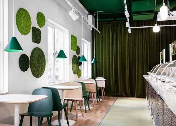 Цветущие растения для северной стороны дома или забора