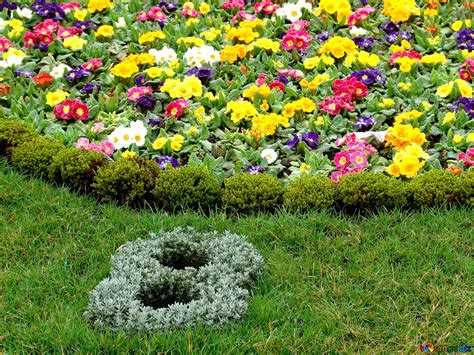 Какие цветы высаживают на клумбах в городе