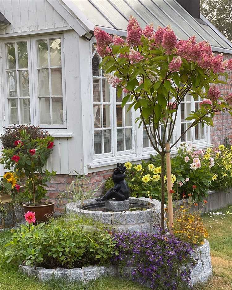 Какие деревья дают декоративный эффект в разное время года