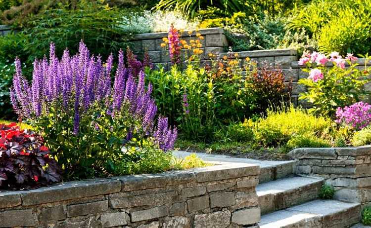 Как подобрать дерево по типу почвы и влажности