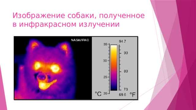 Отопительные панели с инфракрасным излучением для жилых помещений