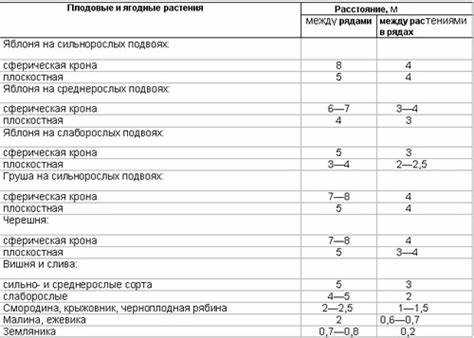 Посадочные расстояния для ореховых культур: грецкий орех, фундук