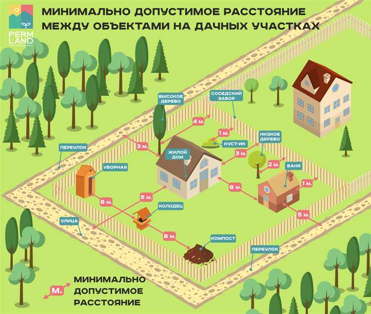 Минимальная дистанция между хвойными деревьями на участке
