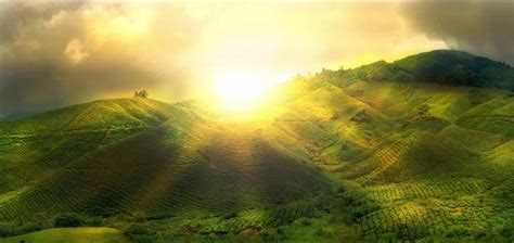 Искусственное освещение в теплицах и агротехнике