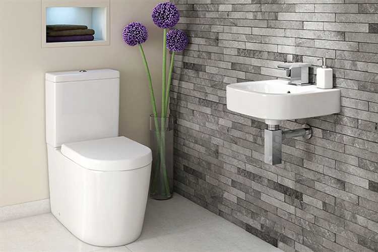 Какой тип унитаза подходит для участка без канализации