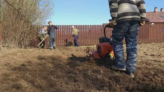 Можно ли использовать грунт с участка и как его подготовить
