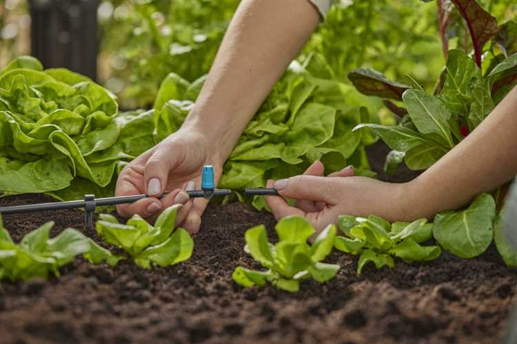 Ошибки при установке капельного полива и как их избежать