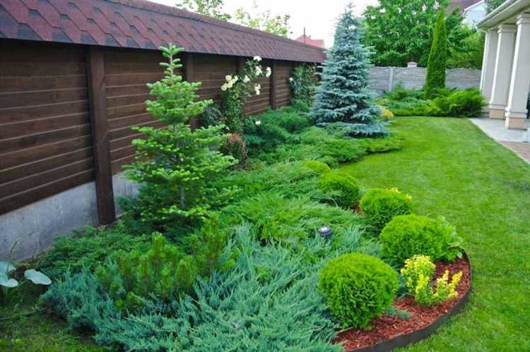 Как влияет климат региона на сроки пересадки