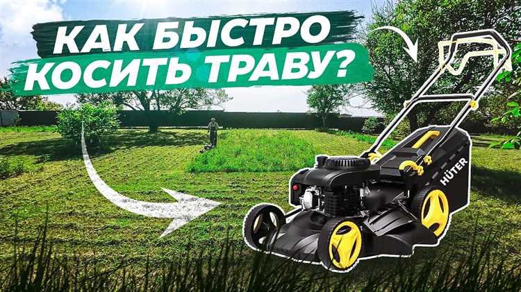 Оптимальная высота травы для первого весеннего покоса