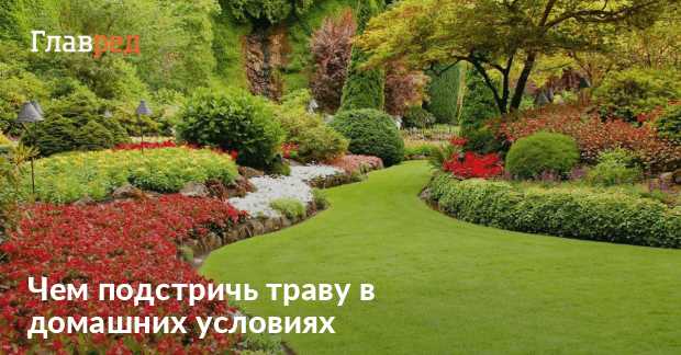 При какой температуре воздуха можно начинать скашивание