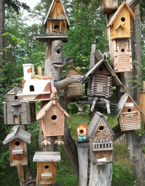 Можно ли устанавливать скворечники летом и с какими рисками это связано