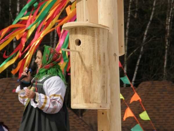 Как влияет запоздалая установка скворечника на вероятность заселения птицами