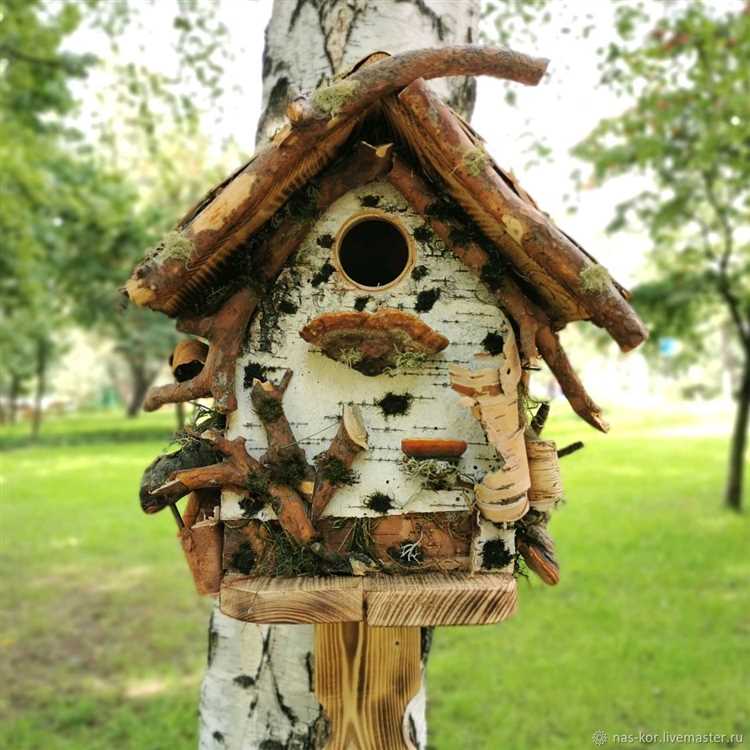 Когда вешать скворечники для птиц в подмосковье Когда вешать скворечники для птиц в подмосковье