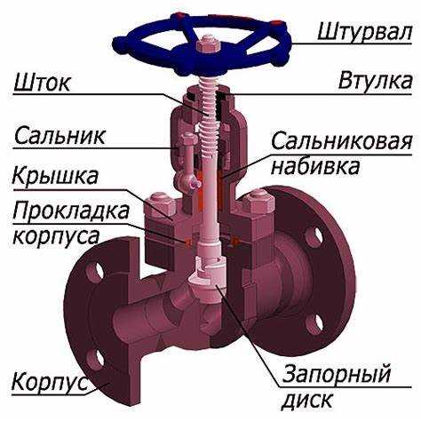 Корзинчатый вентиль для мойки что это Корзинчатый вентиль для мойки что это
