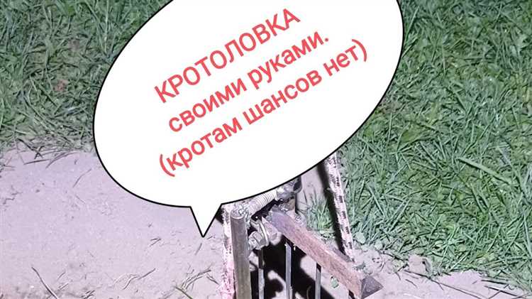 Способы маскировки ловушки в земле