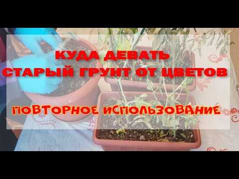 Варианты использования грунта при строительстве дорожек и площадок