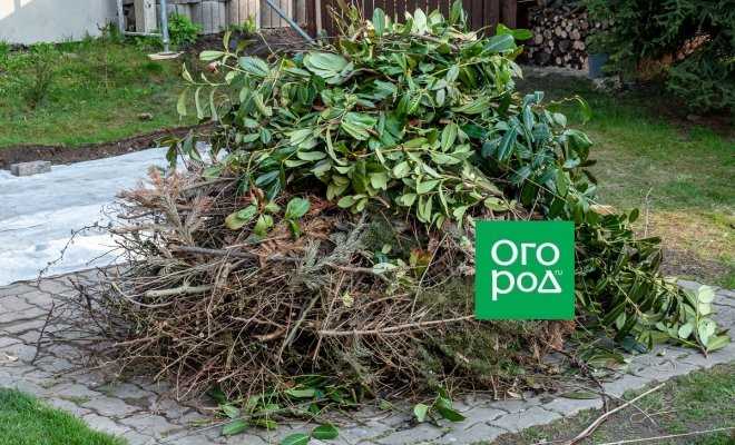 Варианты использования веток для дров и отопления