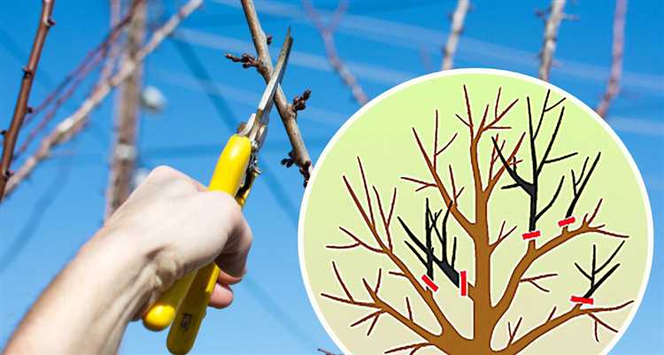 Способы создания декоративных элементов из веток в саду